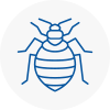 Bed Bug Extermination In Oughtibridge