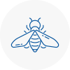 Bee Nest Removal Oughtibridge