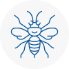 Oughtibridge Hornet Nest Removals