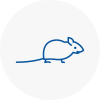 Mice Exterminators In Oughtibridge
