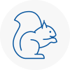 Oughtibridge Rodent Removals